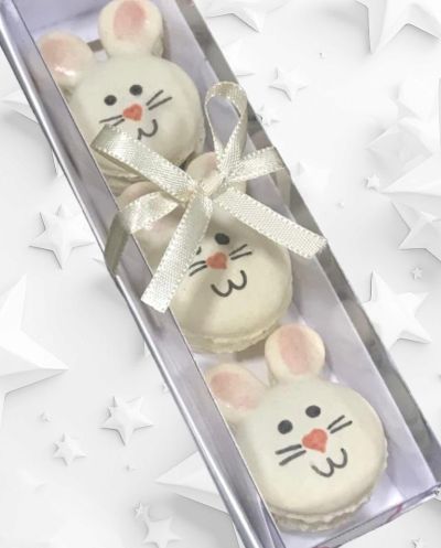 flavia-dias-macarons-caixas-personalizadas-03